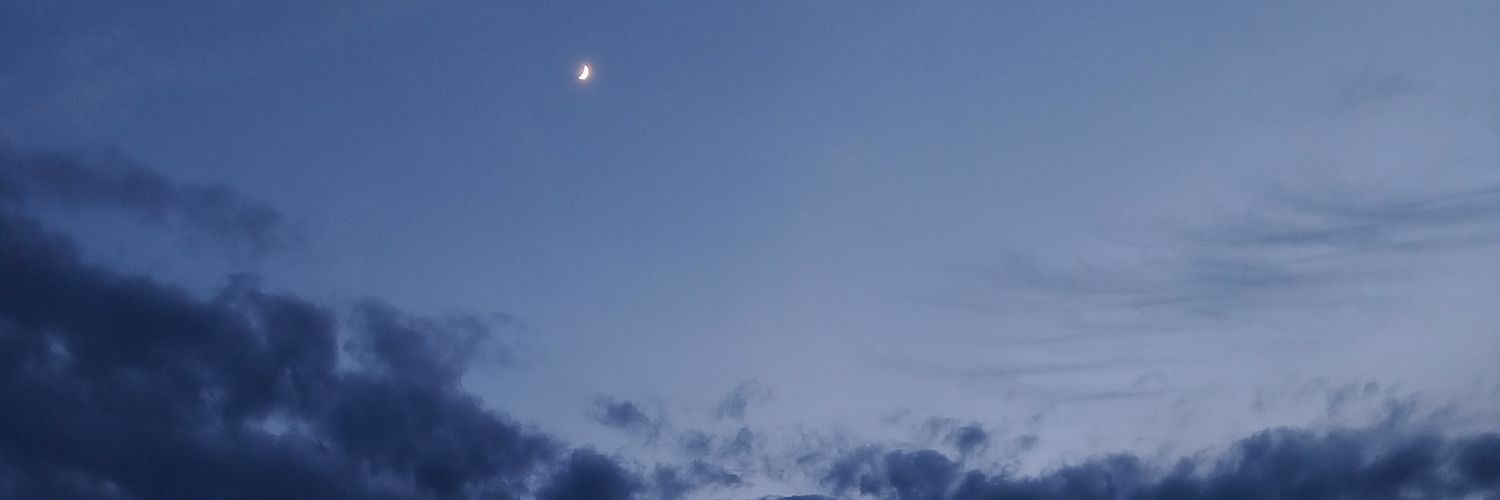 shinzeaea's profile banner image