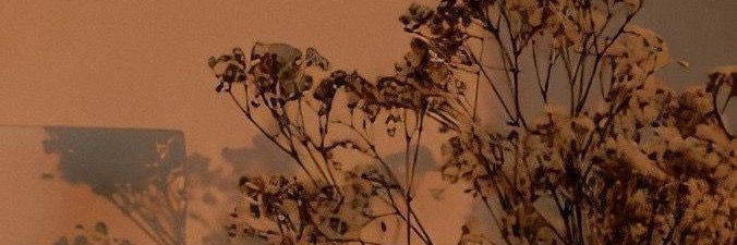 Sappy Sasa🎨 banner