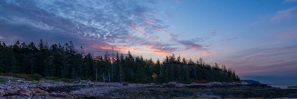mh_aski's profile banner image