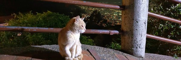 drmodding Profile Banner