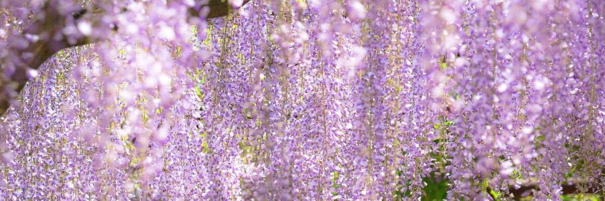 307Bt's profile banner image