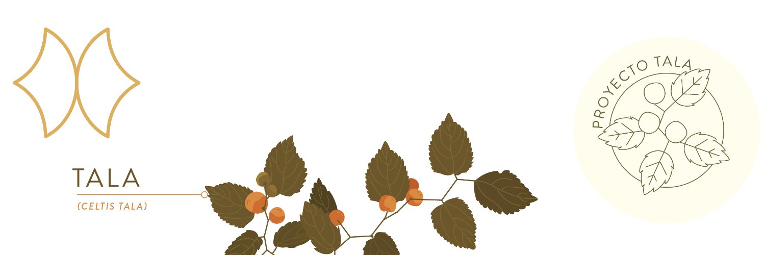 somos_restaura's profile banner image