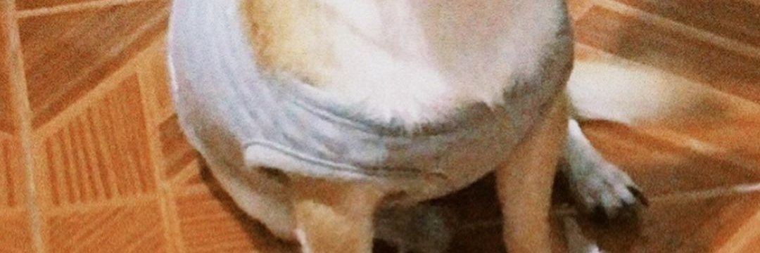 Hailey30257689's profile banner image