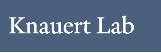 Knauert Lab banner