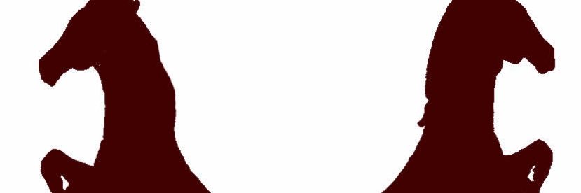 Devine ISD Athletics banner