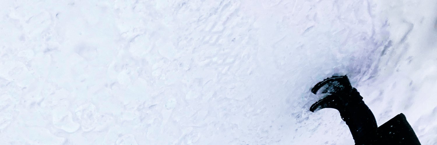 つまサらし banner