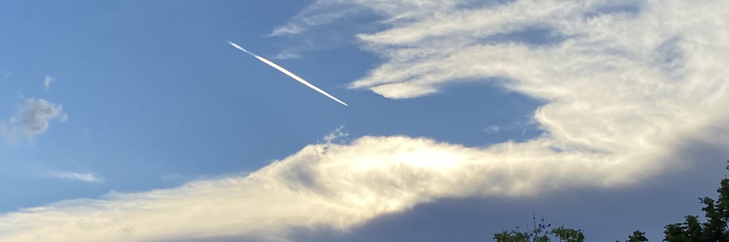 Xingcheng Lin banner