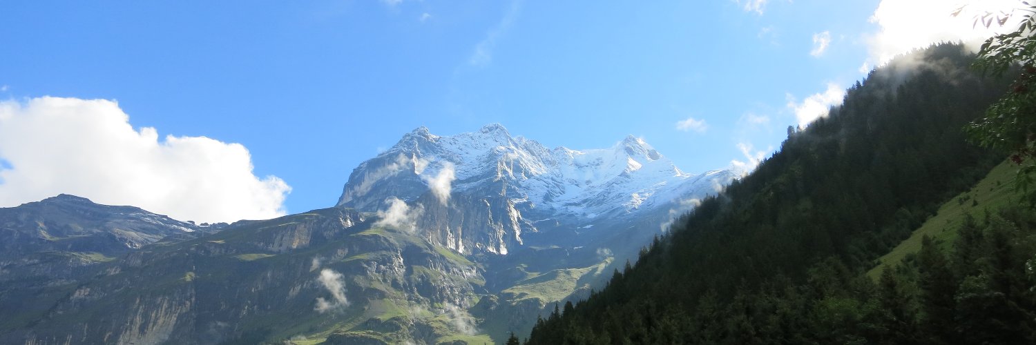 D_C_Muller's profile banner image