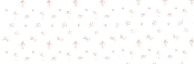 acawkwks's profile banner image