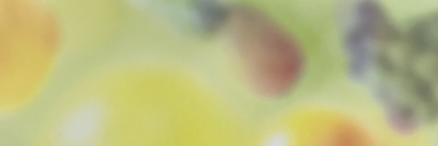 ikayakibanzai's profile banner image