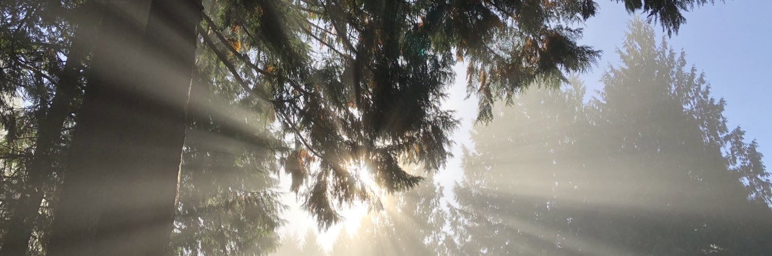 gavinjensen's profile banner image