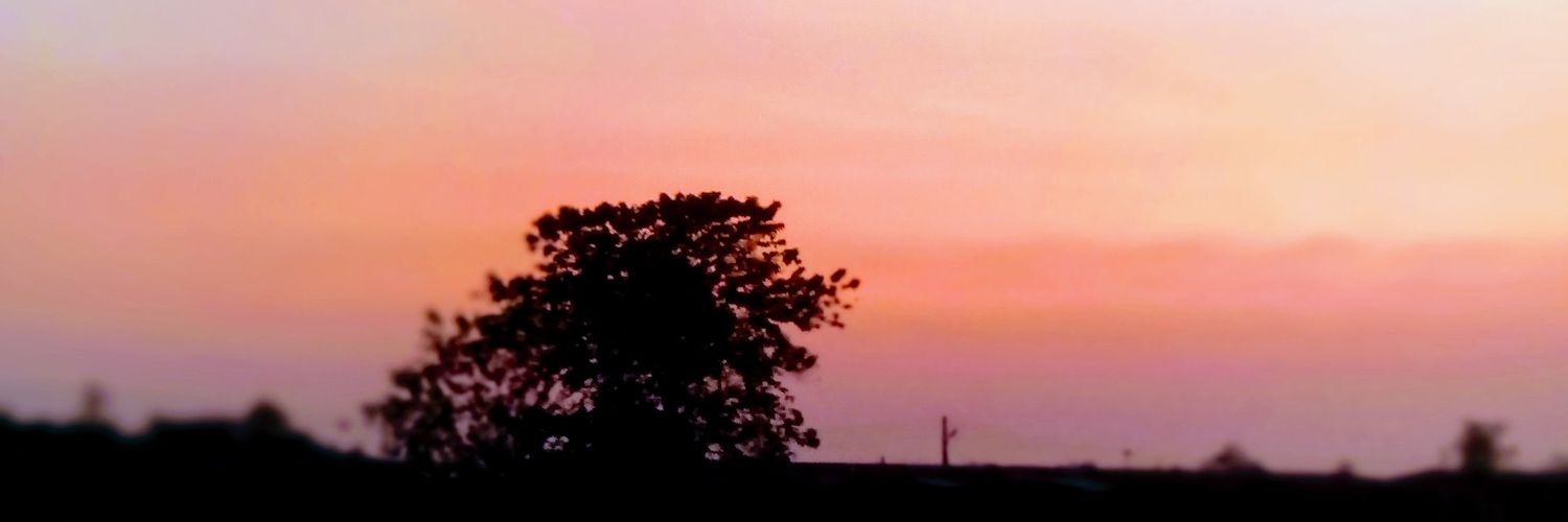Dam_debs1's profile banner image