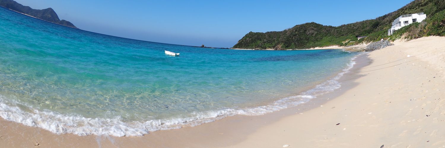 チワワ🐕 banner