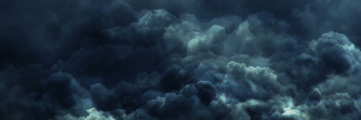 Neileaux banner