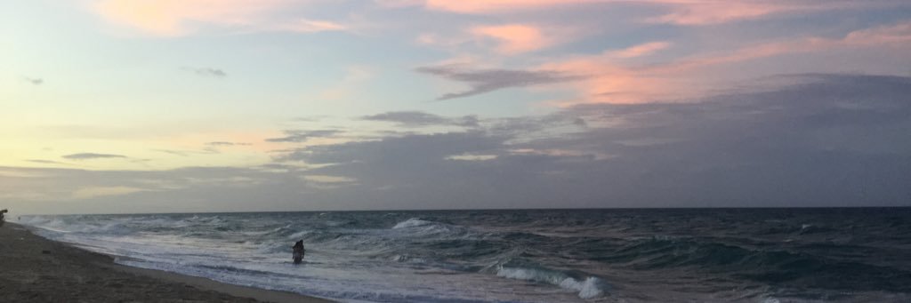 User 1100 banner