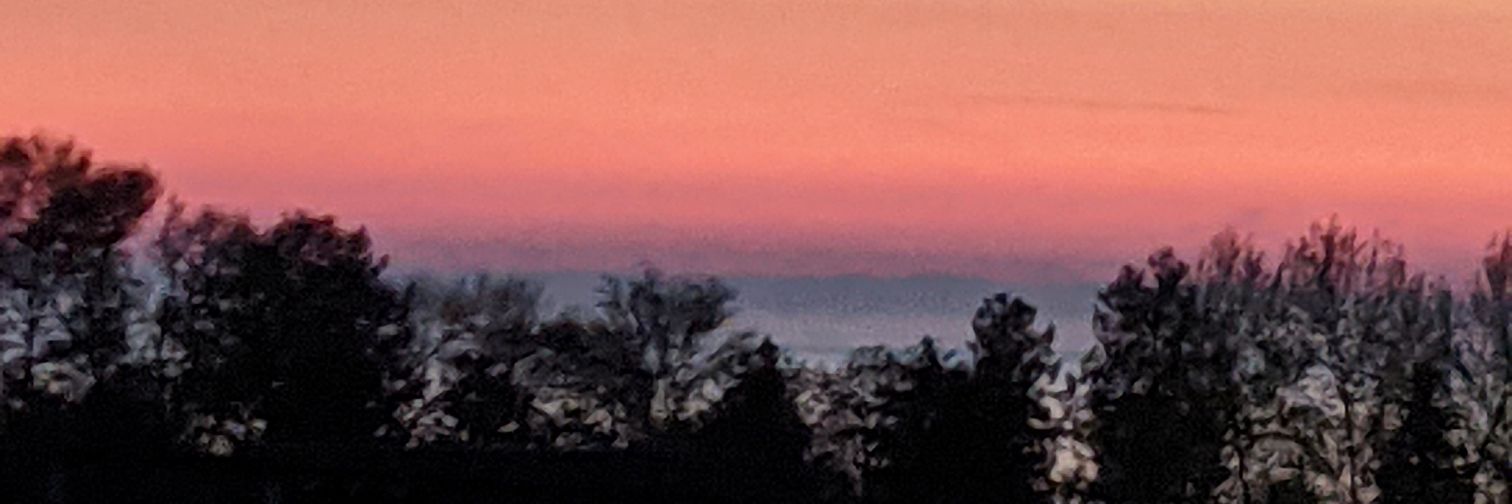 nickteegardin's profile banner image