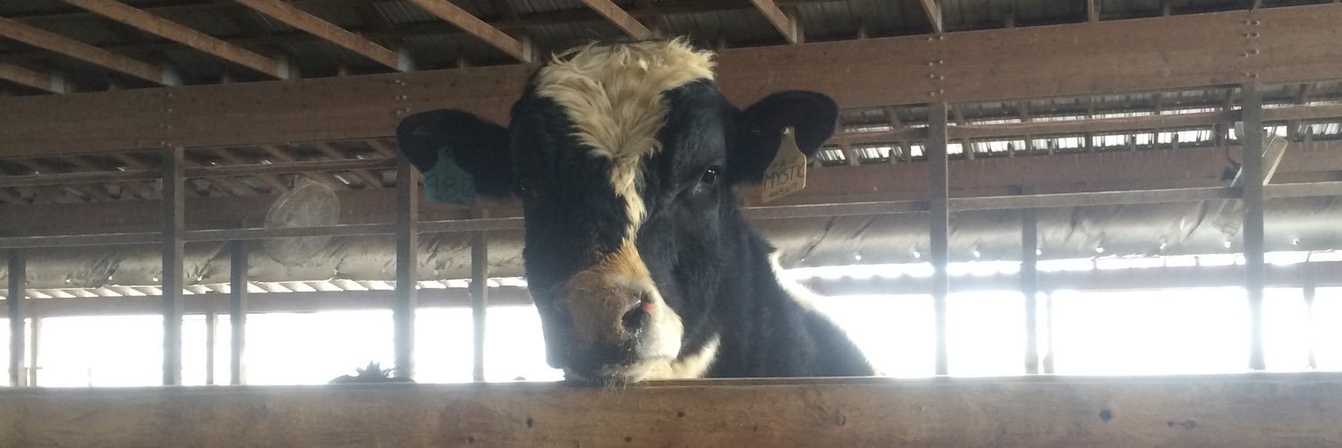 CumminsFarmKid's profile banner image