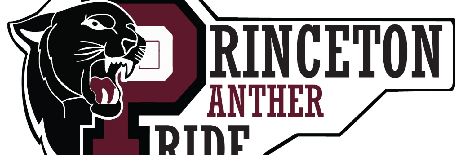 Princeton_XC banner