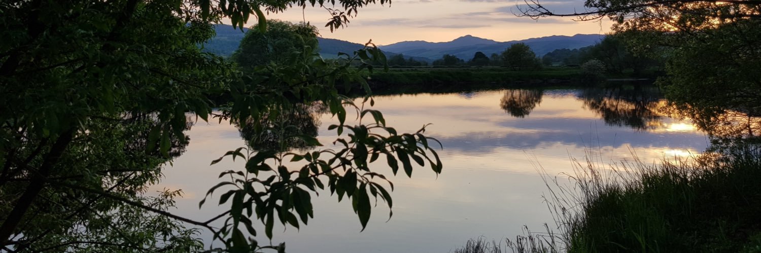 Consistently Perplexed (Will) banner