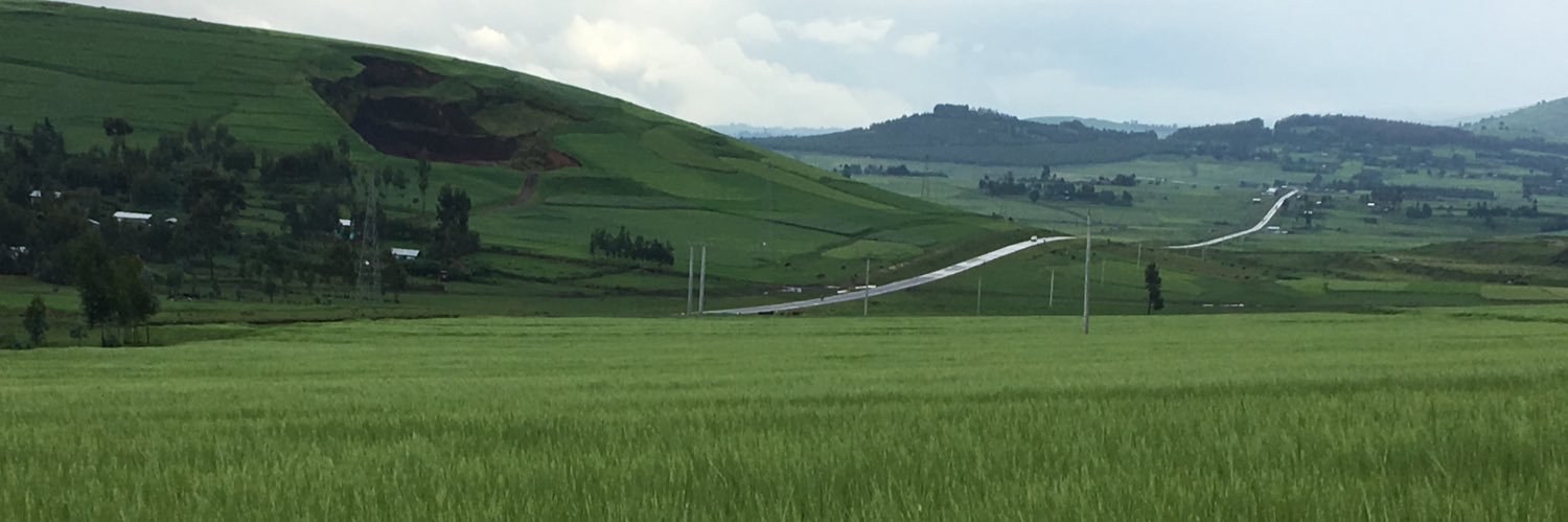 Royaltypjtk's profile banner image