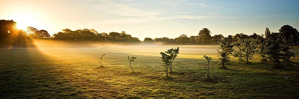 Texas_billioner's profile banner image