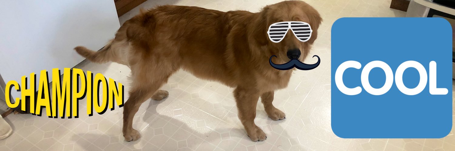 Some Dudes Dawg banner
