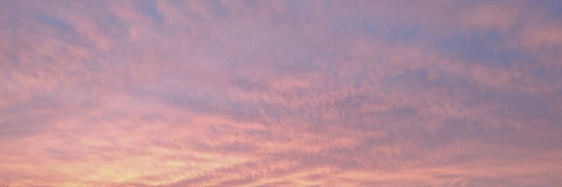 iui6250's profile banner image