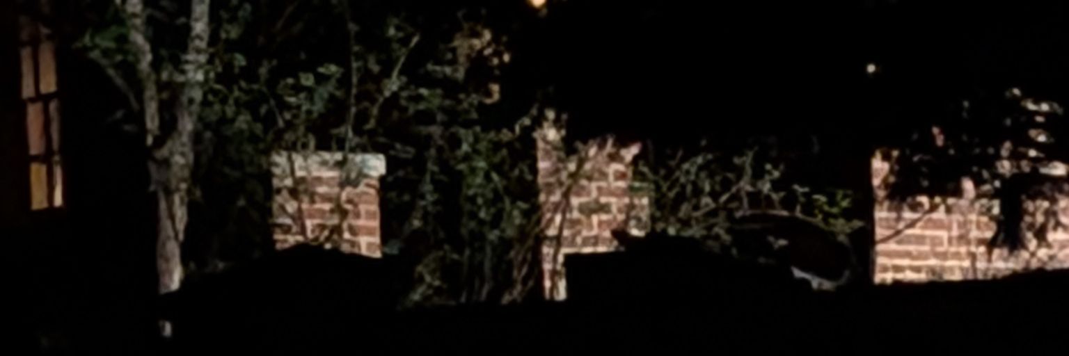 t_oyokay's profile banner image