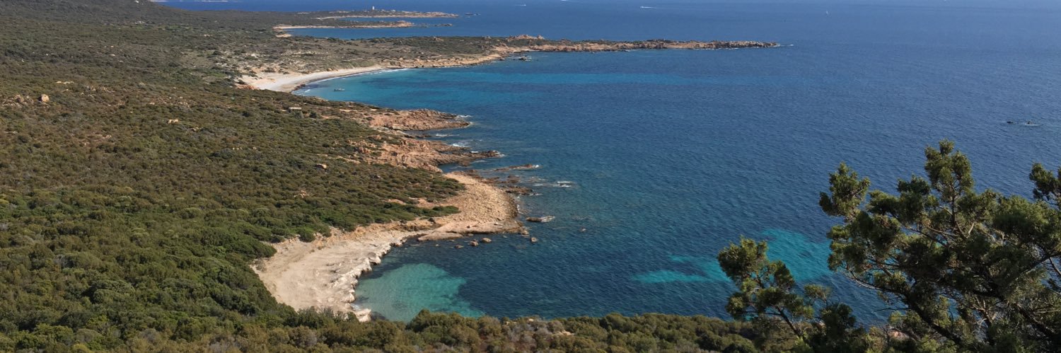 ced93260's profile banner image