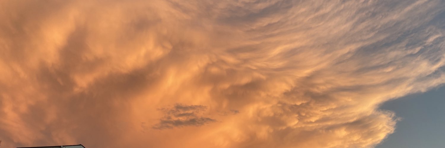 nicoledipillo's profile banner image