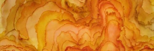 aaambahh's profile banner image