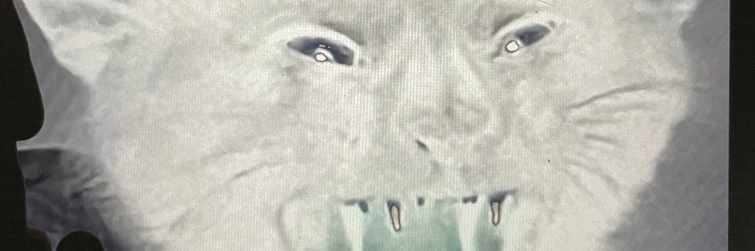 みやかー banner
