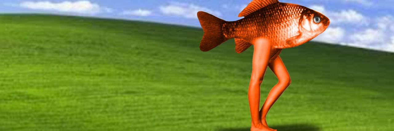 ayanitoxdd's profile banner image