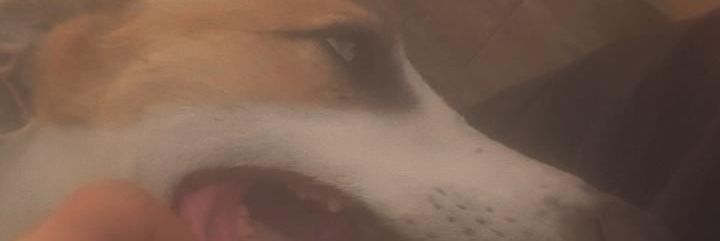Elroaless7's profile banner image