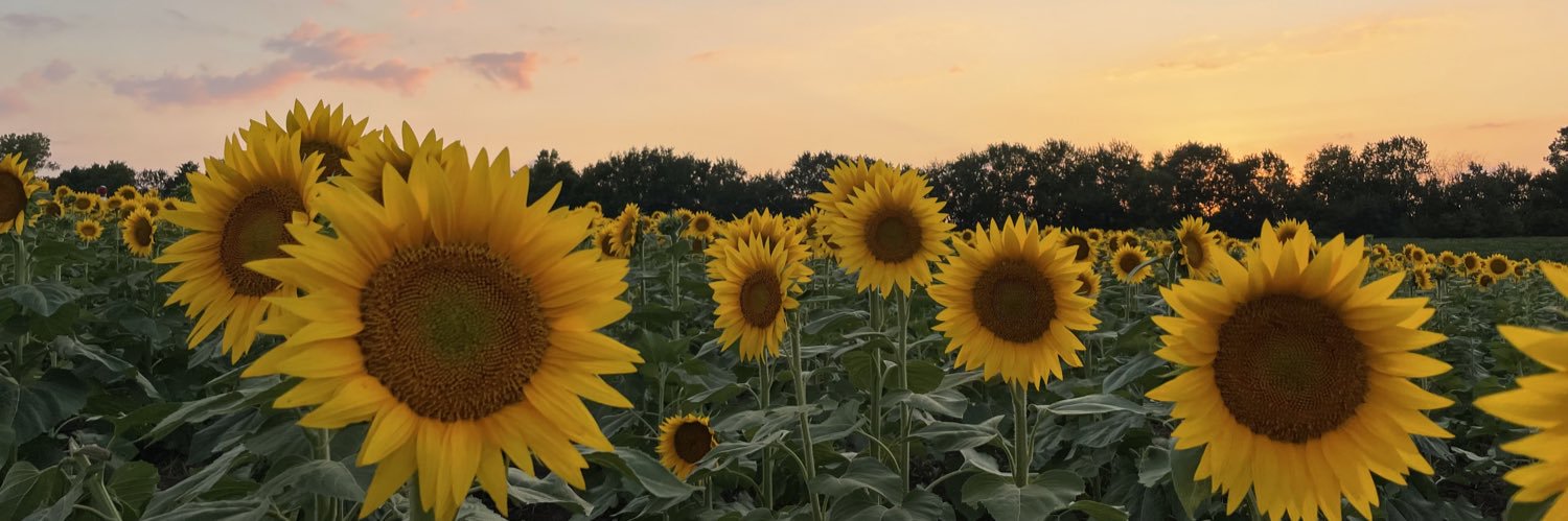 Andy Fukasawa banner