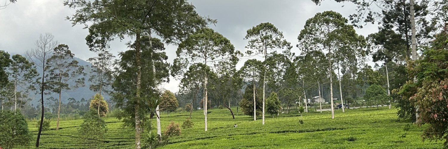 matossca's profile banner image