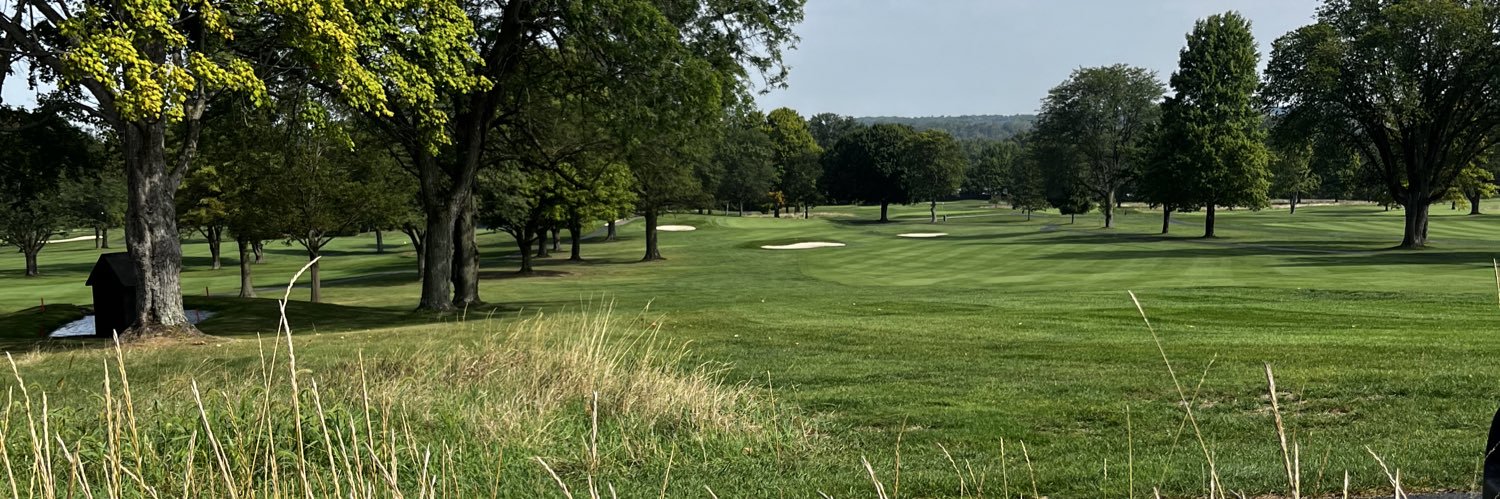 Mahaley Nemtuda banner