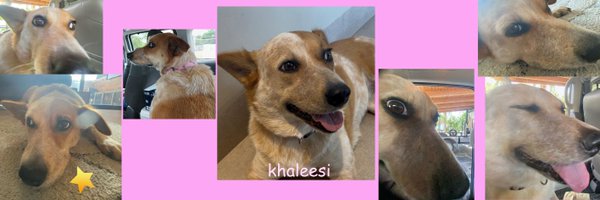 AlanDev09 Profile Banner