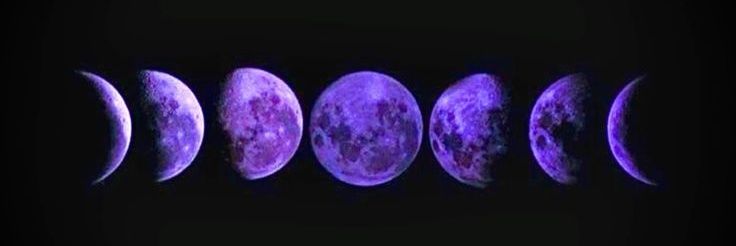 only lonie. 🧪🪙 banner