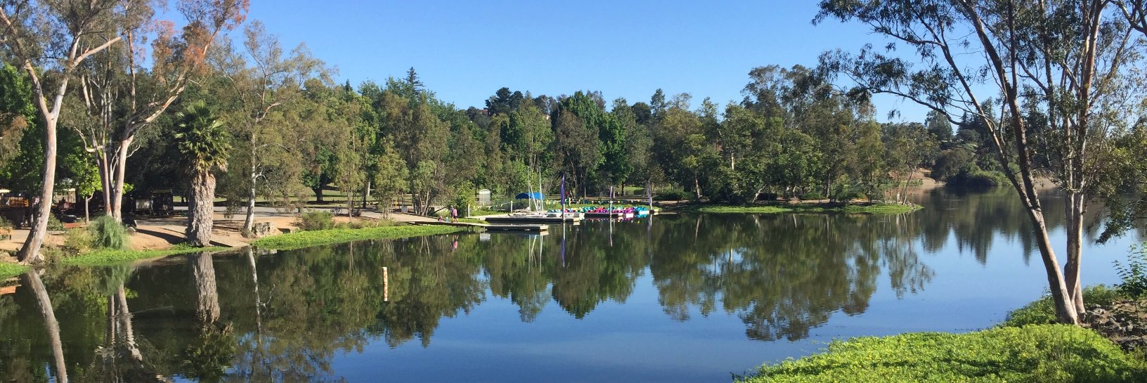 Jennifer Caukin banner