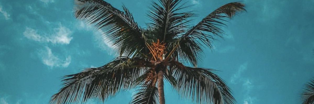 Chelsfez's profile banner image