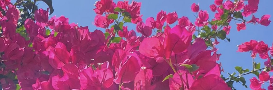 lydi 🕊️🕊️🕊️ banner