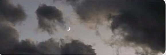 wed_w6's profile banner image