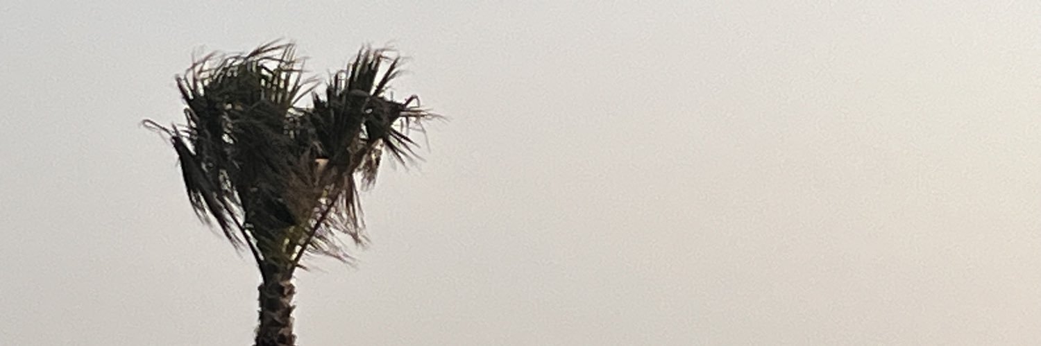 accord1027's profile banner image