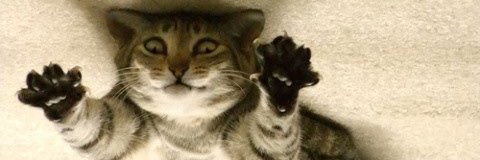 Leftism is a Mental Illness banner