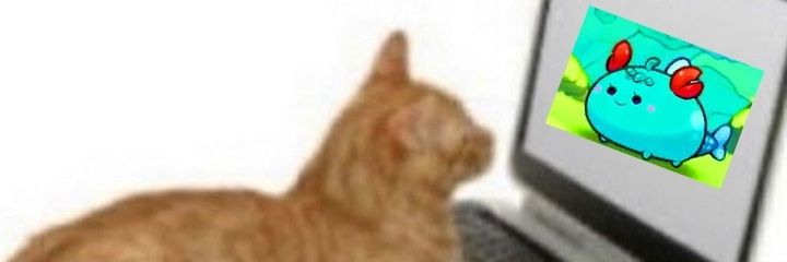 cucuchitril's profile banner image