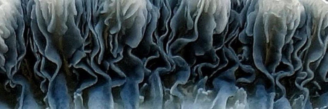 OhCloc's profile banner image