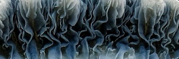 OhCloc Profile Banner