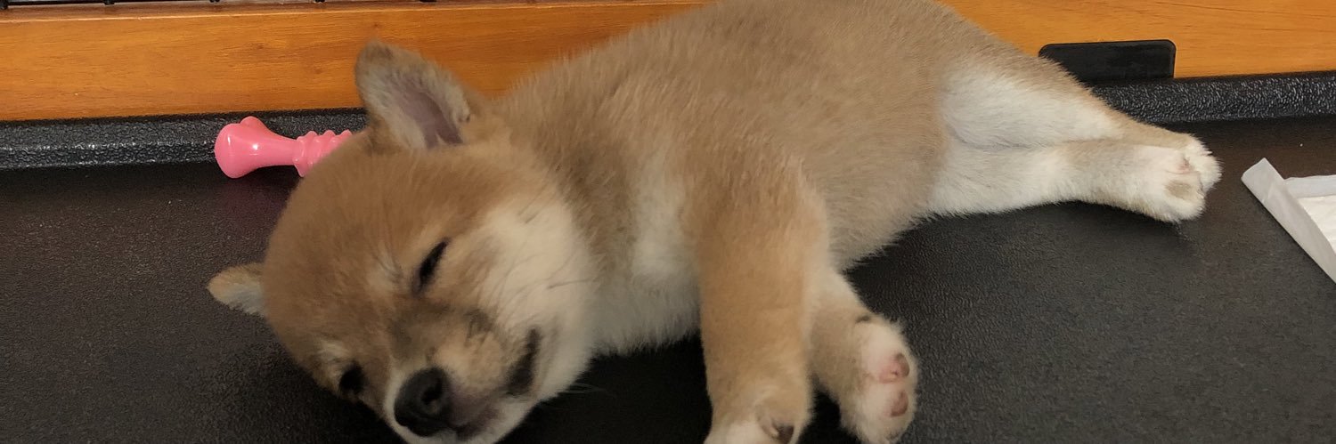 Y0Li3y's profile banner image