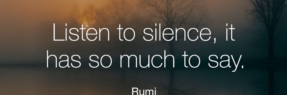 Seema Mustafa banner